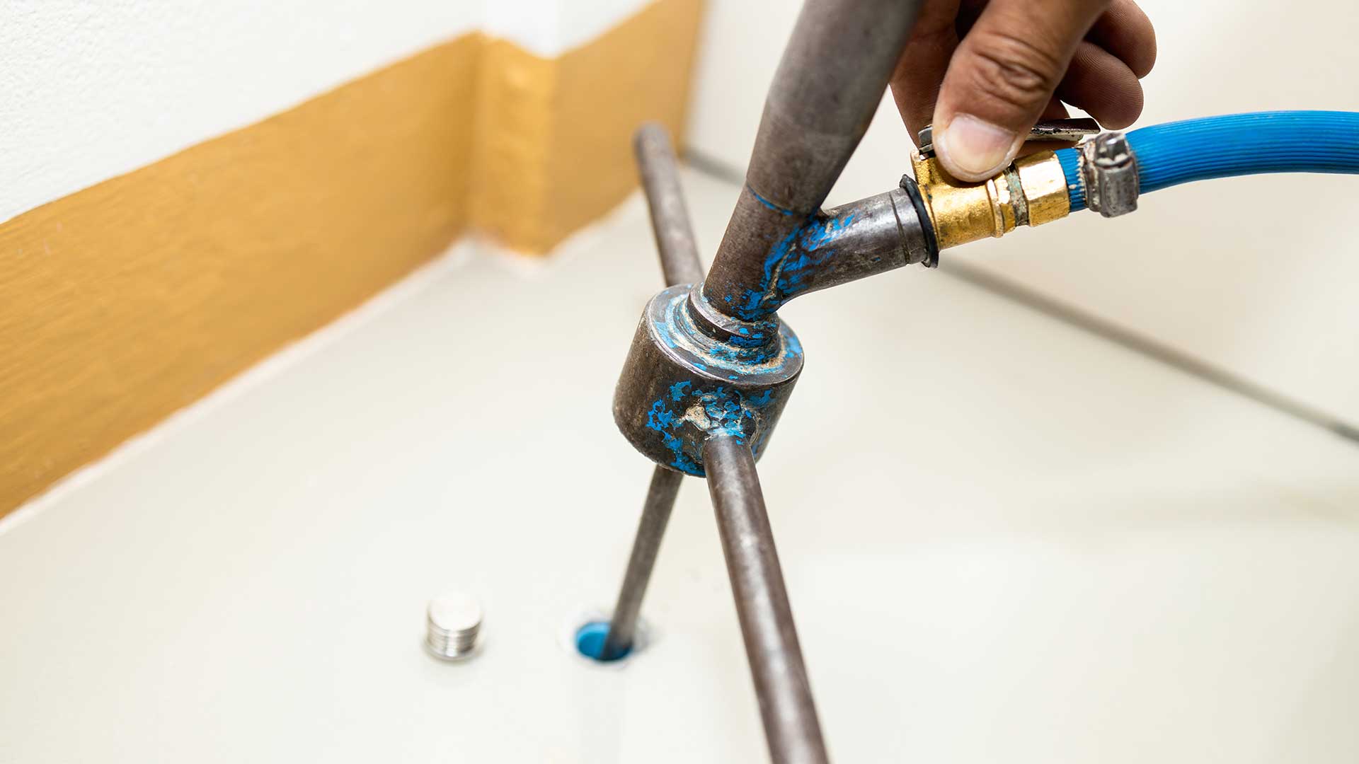 swift-pest-termite-treatment