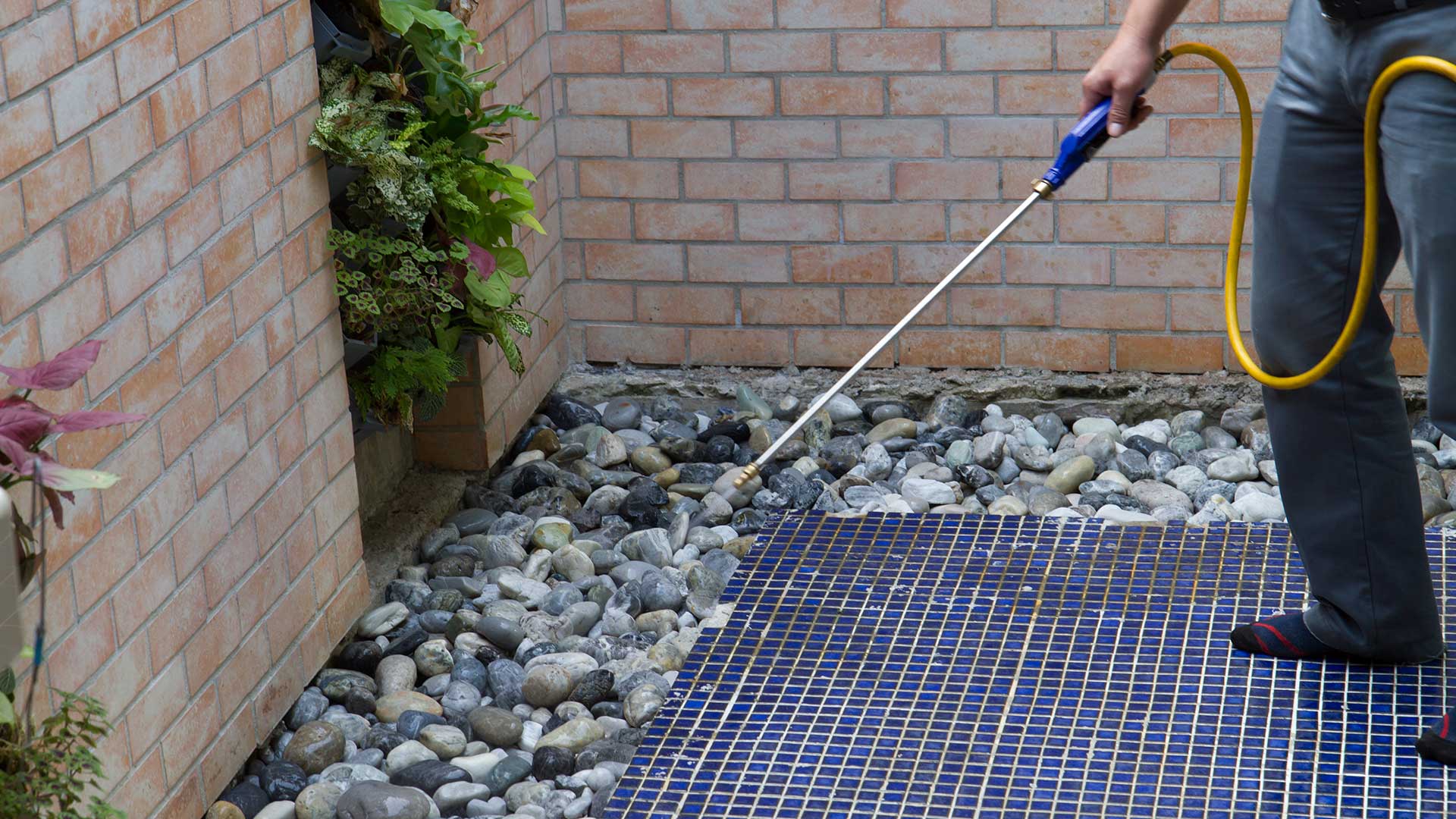 swift-pest-termite-treatment2